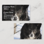 Border Collie Dog Visitekaartjes (Voorkant / Achterkant)