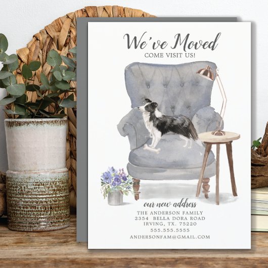 Border Collie Dog We hebben de aanmaning verplaats Aankondiging