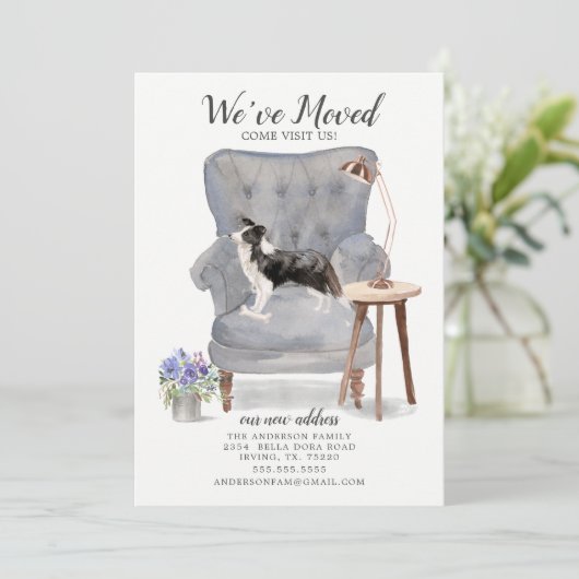 Border Collie Dog We hebben de aanmaning verplaats Aankondiging (Staand voorkant)