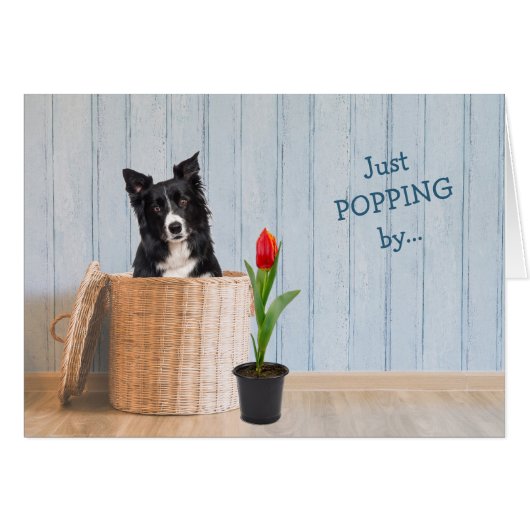 Border Collie Dog Wicker Basket Birthday Card (Voorkant Horizontaal)