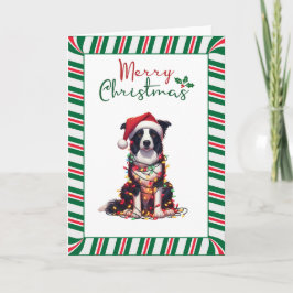 Border Collie Dog Wrapped In Christmas Light Kaart