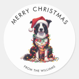 Border Collie Dog Wrapped In Christmas Light Ronde Sticker