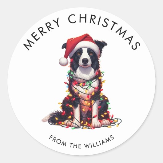 Border Collie Dog Wrapped In Christmas Light  Ronde Sticker (Voorkant)
