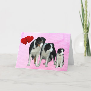 Border Collie Dogs Heart Wenskaart Feestdagen Kaart