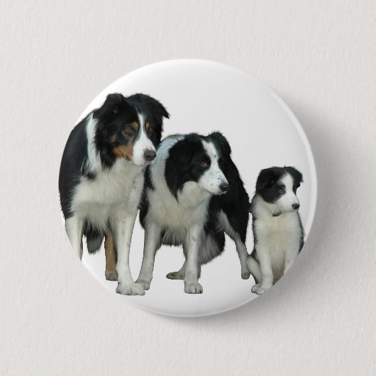 Border Collie Dogs Ronde Button 5,7 Cm (Voorkant)
