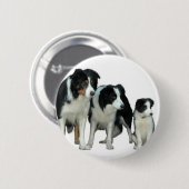 Border Collie Dogs Ronde Button 5,7 Cm (Voorkant /achterkant)