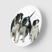 Border Collie Dogs Ronde Klok (Hoek)