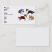 Border Collie Dogs Visitekaartje (Voorkant / Achterkant)