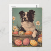 Border Collie Easter Briefkaart (Voorkant / Achterkant)