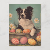 Border Collie  Easter Briefkaart (Voorkant)
