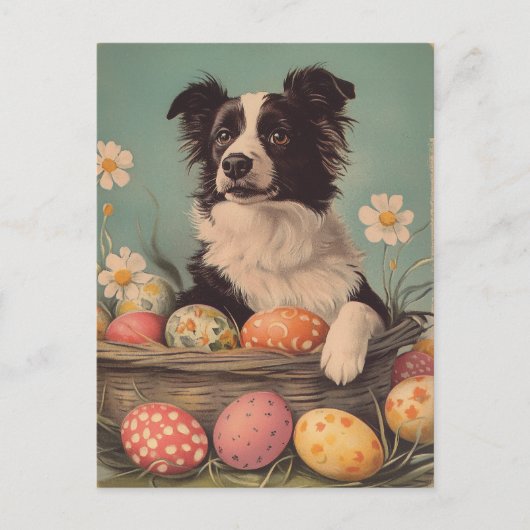 Border Collie Easter Briefkaart (Voorkant)