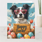 Border Collie Easter Eggs Kaart (Voorkant)