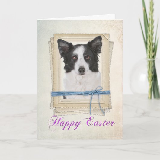 Border Collie Easter Kaart (Voorkant)