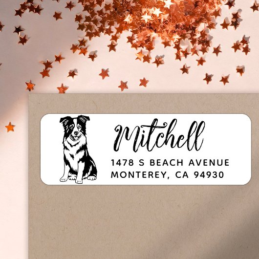 Border Collie Eigenaar Retouradres Hond Eigenaar L Etiket