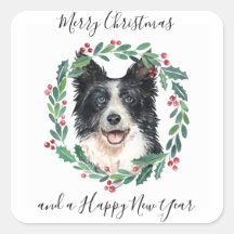 Border Collie Elegant Hond Vrolijk Kerstfeest