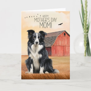 Border Collie en Rode Schuur Moederdag Feestdagen Kaart