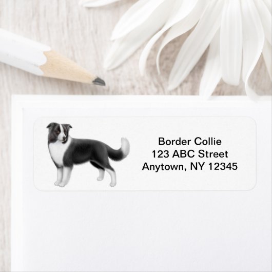 Border Collie Etiket (Insitu)