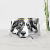 BORDER COLLIE FEESTDAGEN KAART (Voorkant)