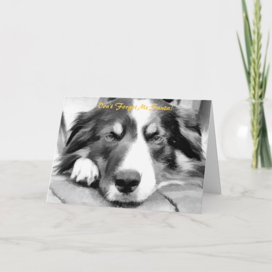 BORDER COLLIE FEESTDAGEN KAART (Voorkant)