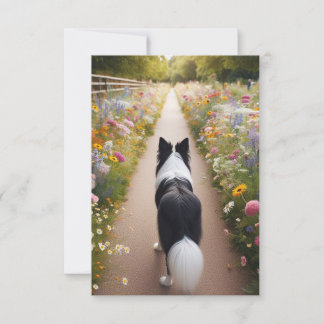 Border Collie Flat Note Kaart met Envelop Notitiekaartje
