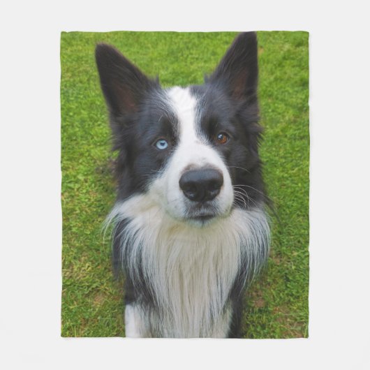 Border Collie Fleece Deken (Voorkant)