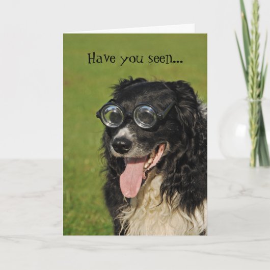 Border Collie Flocking Funny Card Kaart (Voorkant)