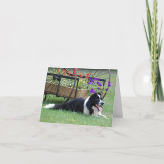 Border Collie & Flower Cart Note Card Kaart