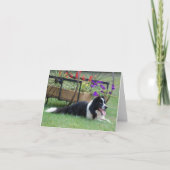 Border Collie & Flower Cart Note Card Kaart (Voorkant)