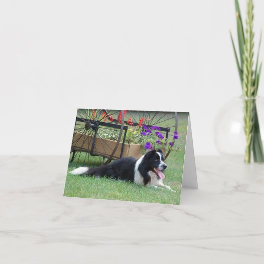 Border Collie & Flower Cart Note Card Kaart (Voorkant)