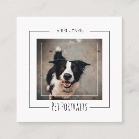 Border Collie Fotografie Pet Portretten Fotografie Vierkante Visitekaartje (Voorkant)