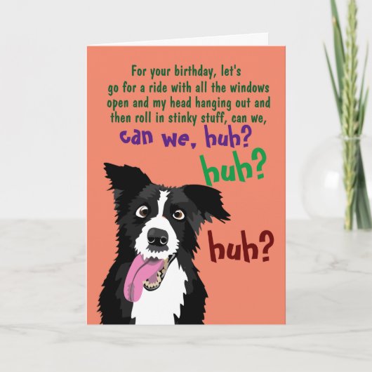Border Collie Funny Birthday Card for Dog Owner Kaart (Voorkant)