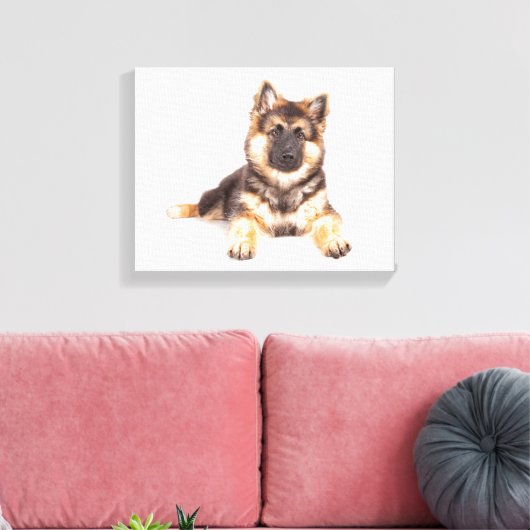 Border Collie German Shepherd Mix Canvas Afdruk (Insitu (Woonkamer))