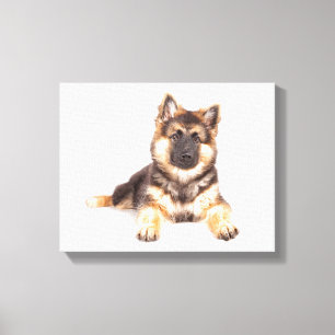 Border Collie German Shepherd Mix Canvas Afdruk