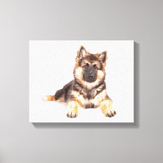 Border Collie German Shepherd Mix Canvas Afdruk (Voorkant)