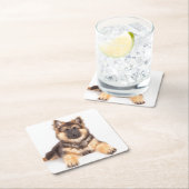 Border Collie German Shepherd Mix Kartonnen Onderzetters (Insitu)