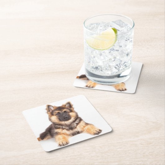 Border Collie German Shepherd Mix Kartonnen Onderzetters (Insitu)