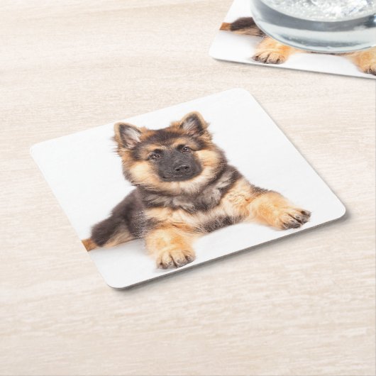 Border Collie German Shepherd Mix Kartonnen Onderzetters (Schuin)