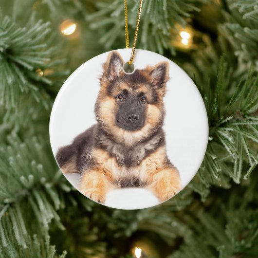 Border Collie German Shepherd Mix Keramisch Ornament (Boom)