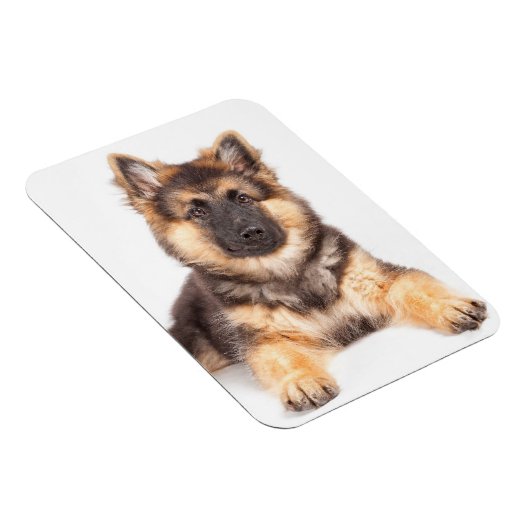 Border Collie German Shepherd Mix Magneet (Rechterzijde)