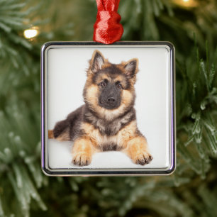 Border Collie German Shepherd Mix Metalen Ornament