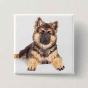Border Collie German Shepherd Mix Vierkante Button 5,1 Cm