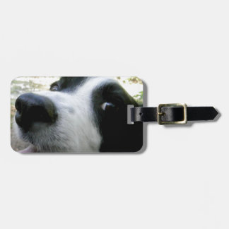 Border Collie Gifts Bagagelabel