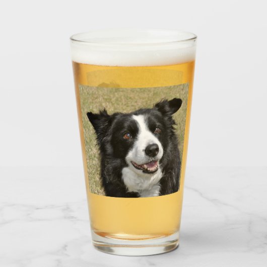 Border Collie Glas (Achterkant gevuld)