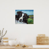 Border Collie glimlach Poster (Keuken)