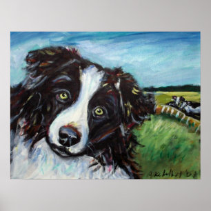 Border Collie glimlach Poster