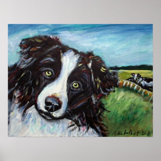 Border Collie glimlach Poster (Voorkant)