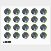 Border Collie Glimlachende Schattige Dog Sticker (Vel)