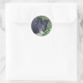 Border Collie Glimlachende Schattige Dog Sticker (Tas)