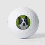 Border Collie Golfballen (Voorkant)