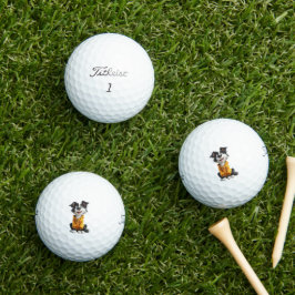 Border Collie Golfballen